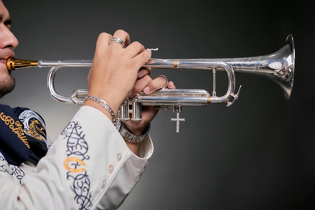 trumpet, mariachi, mexico, foal